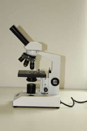 Monoculaire-microscoop_Doorvallend-licht_2962_4.jpeg