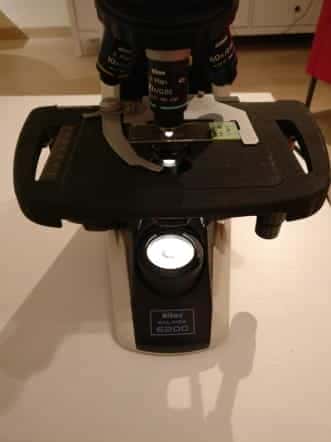 Nikon-Eclipse-E200-Trinoculaire-Doorvallend-Licht-Microscoop_Biologische-microscoop_2789_4.jpeg