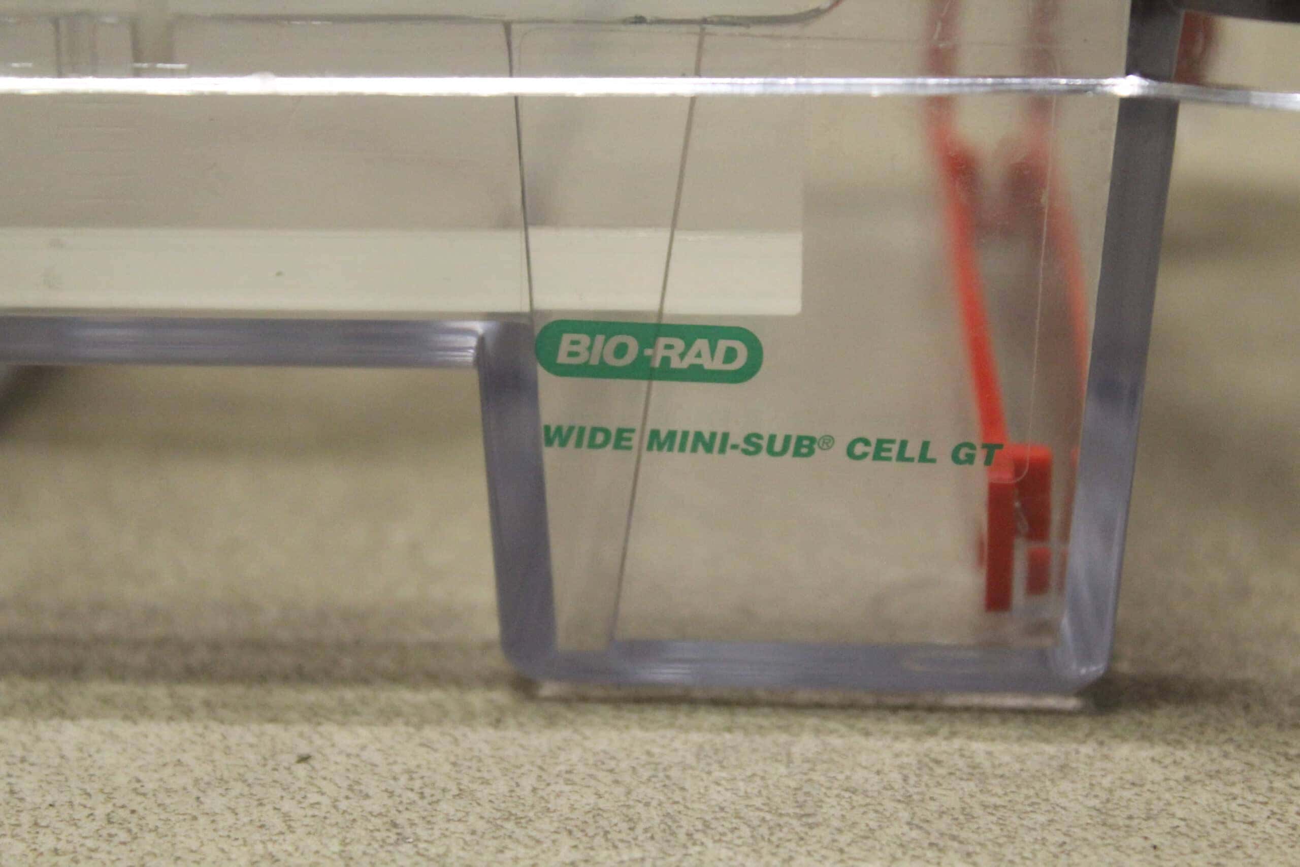 Bio-Rad-Wide-Mini-Sub-Cell-GT-Elektroforese-Cel_Systemen_17001_4.jpeg