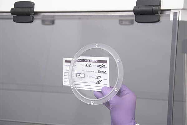 NuAire AllerGard NU-620-500M animal transfer station voor muizen - 150 cm (5)